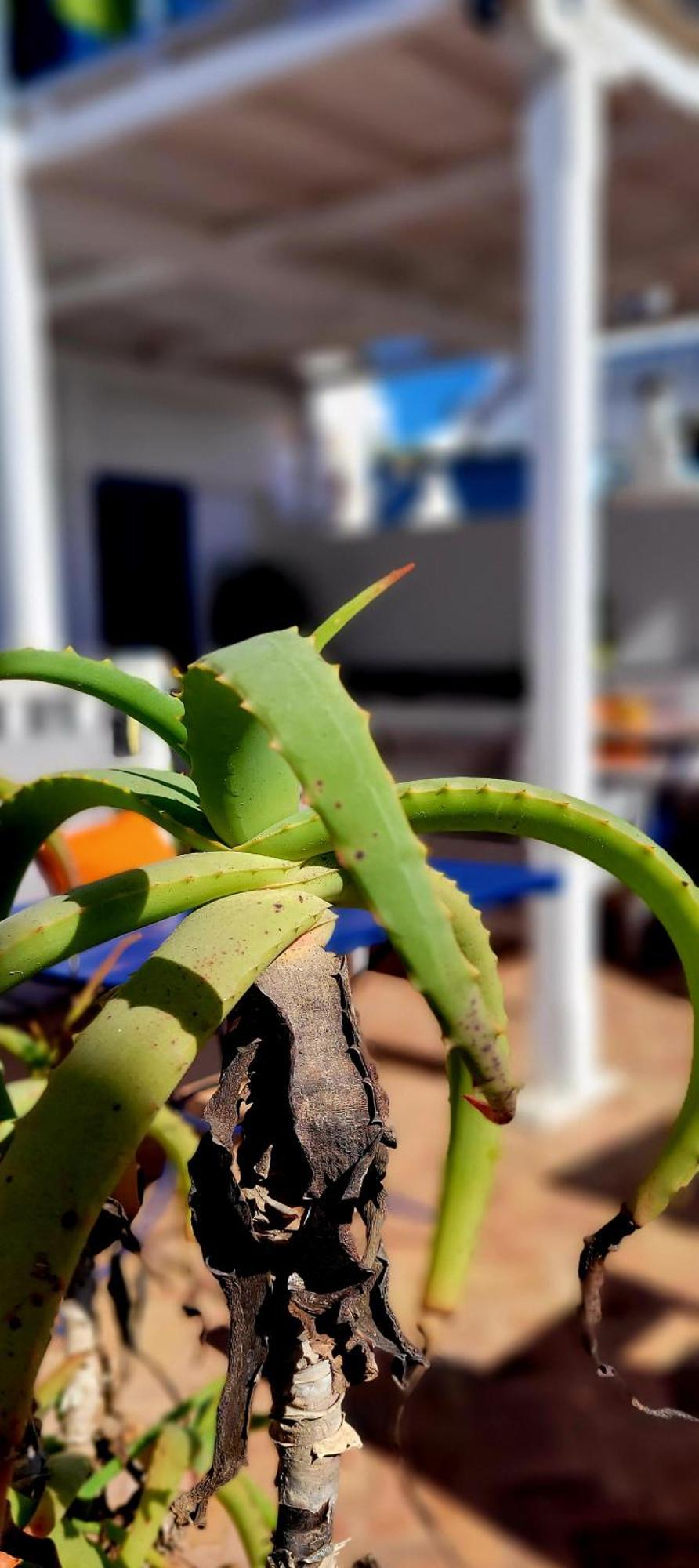 Riad Ocean Medina Essaouira Ngoại thất bức ảnh