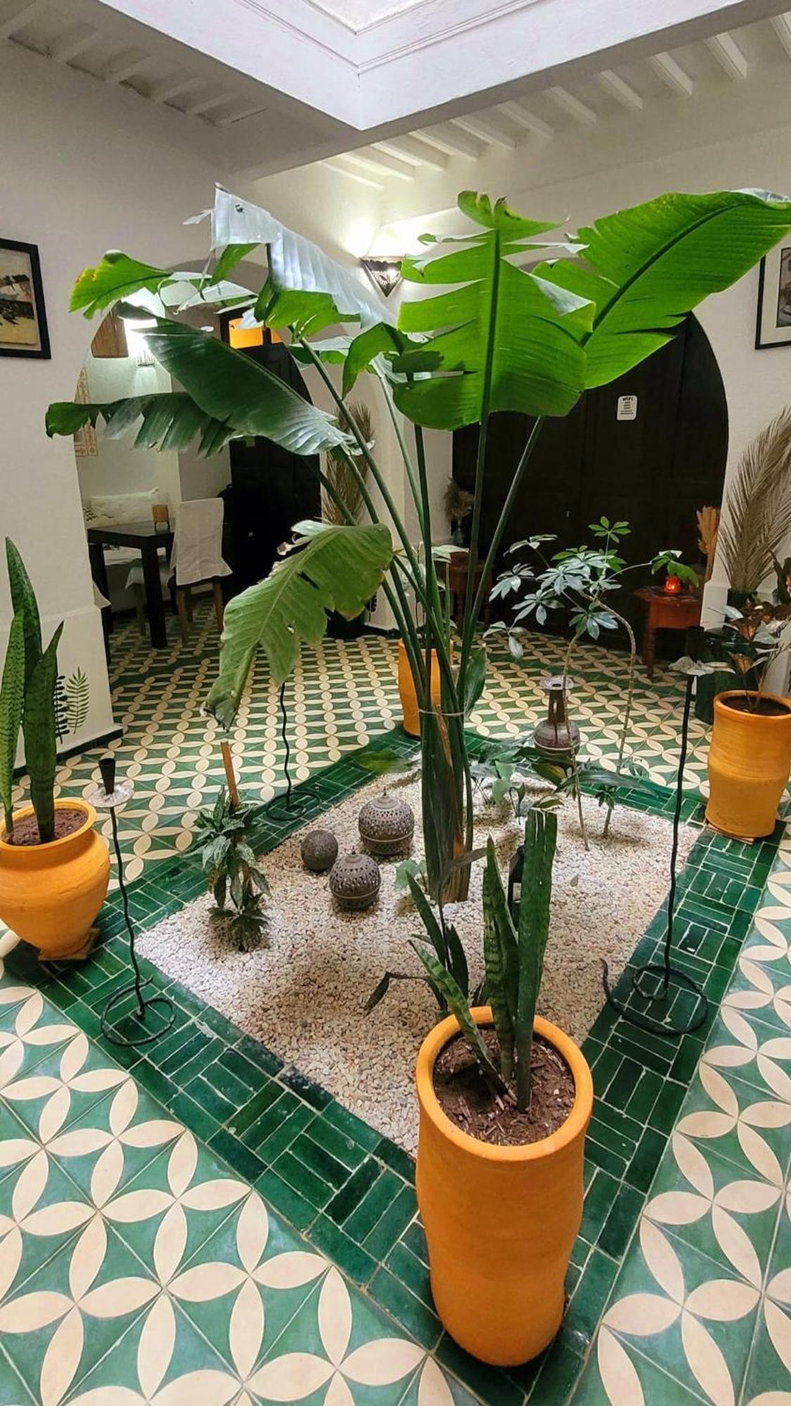 Riad Ocean Medina Essaouira Ngoại thất bức ảnh
