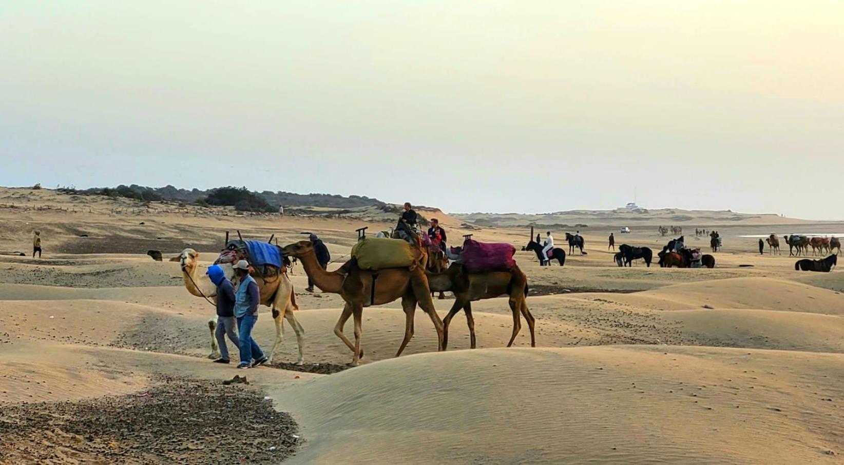 Riad Ocean Medina Essaouira Ngoại thất bức ảnh