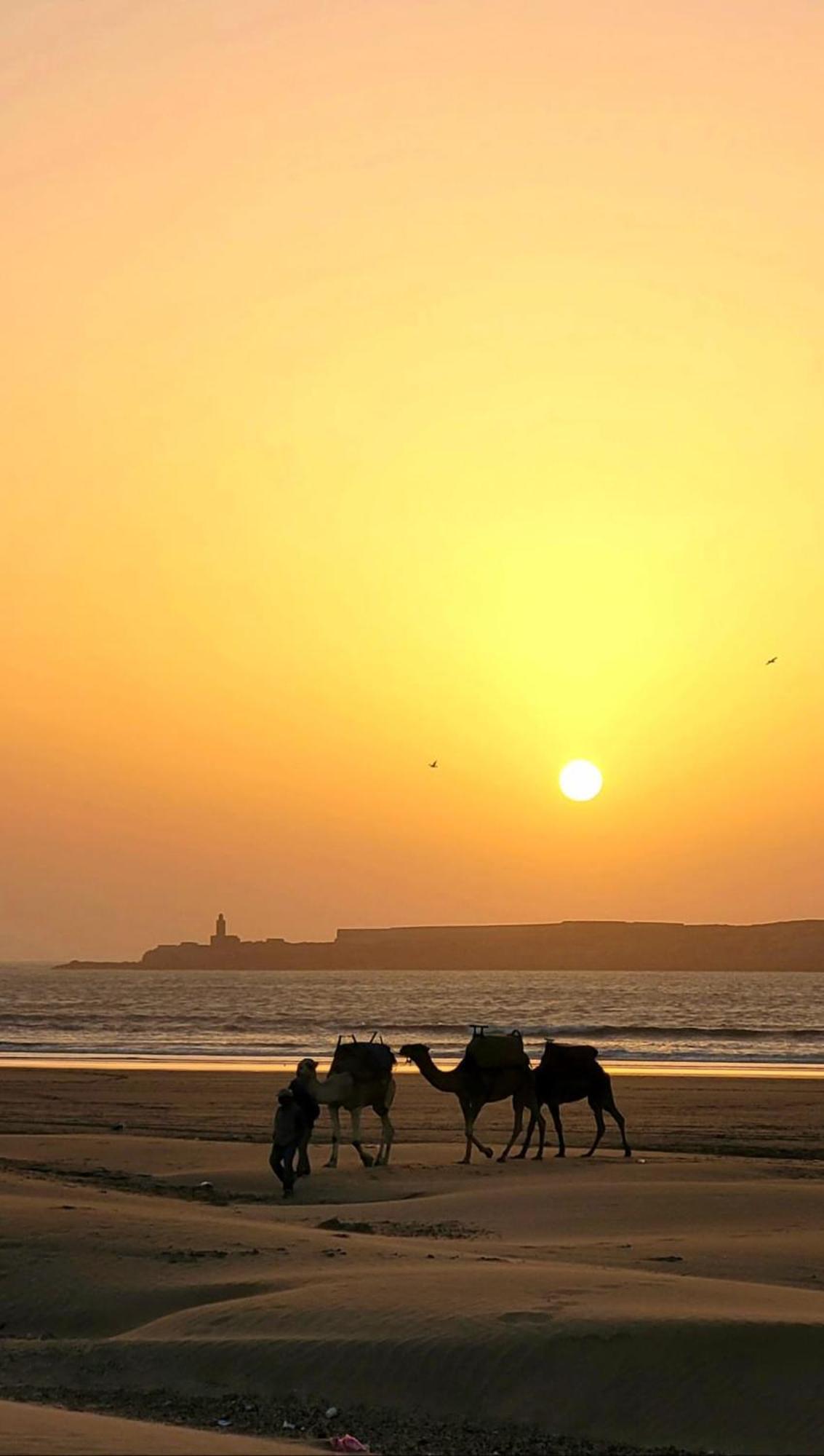Riad Ocean Medina Essaouira Ngoại thất bức ảnh