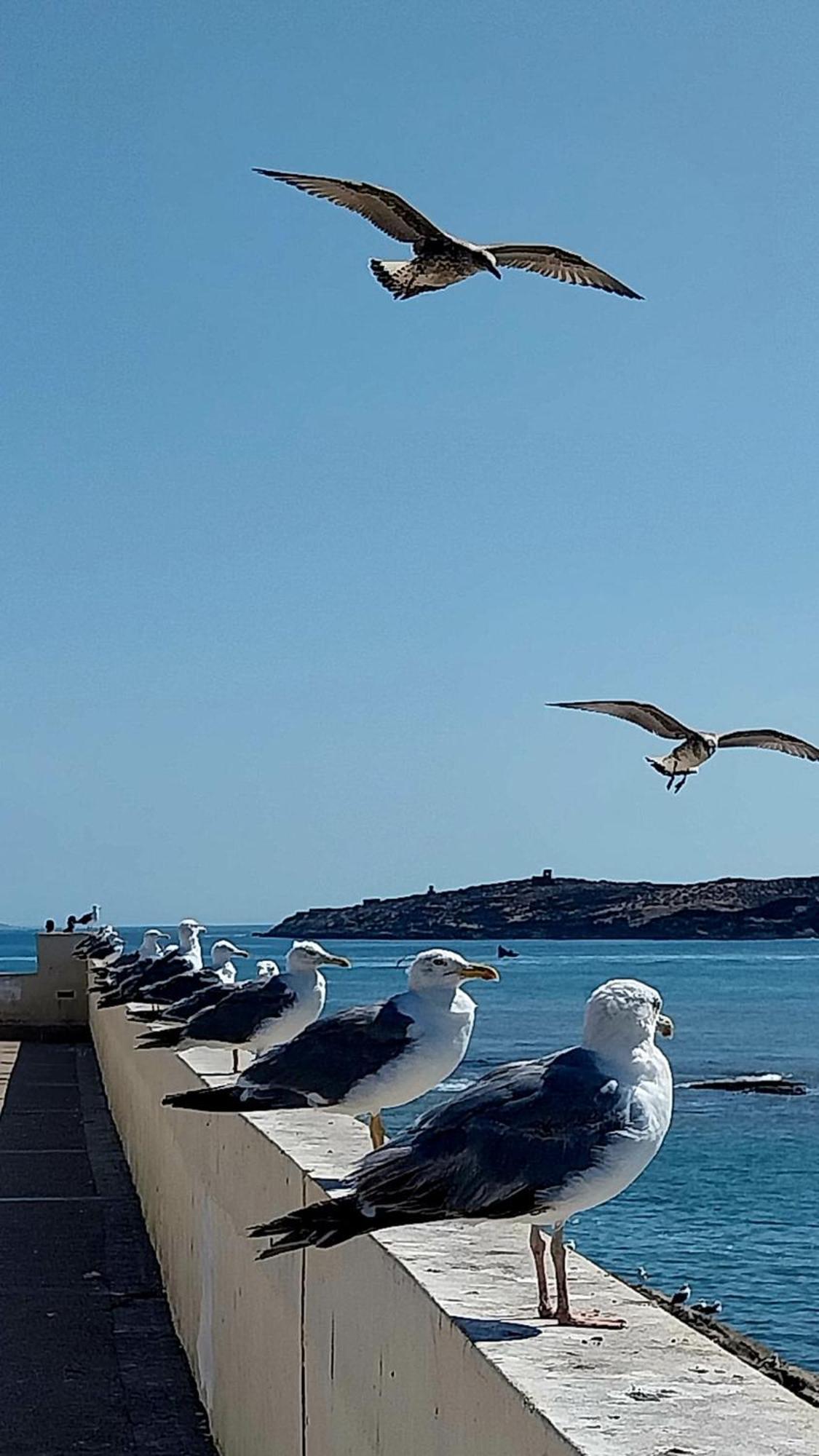 Riad Ocean Medina Essaouira Ngoại thất bức ảnh
