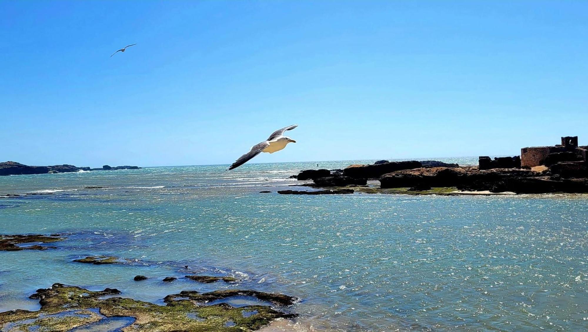 Riad Ocean Medina Essaouira Ngoại thất bức ảnh